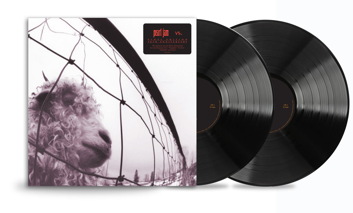 Pearl Jam Vs. (30th Anniversary Edition) [Vinyl]