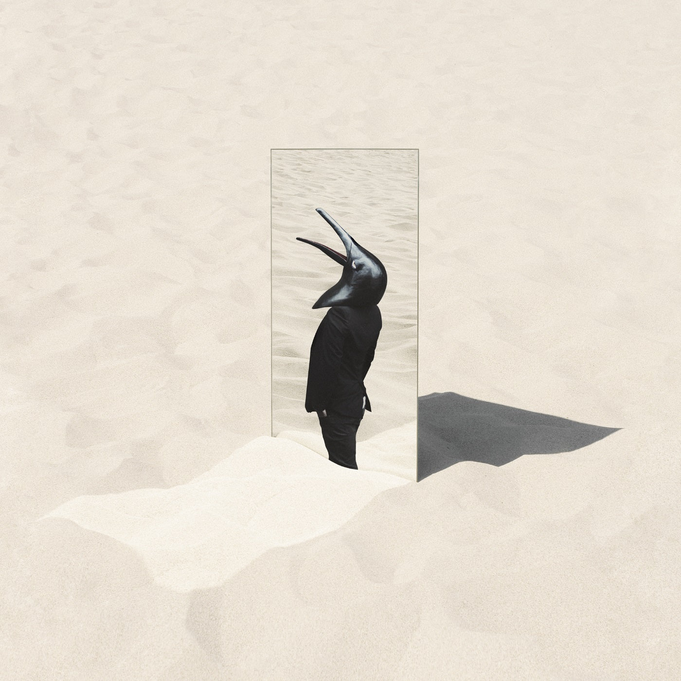 The Imperfect Sea (Vinyl)