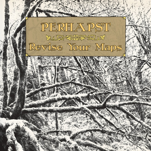 Revise Your Maps (Vinyl)