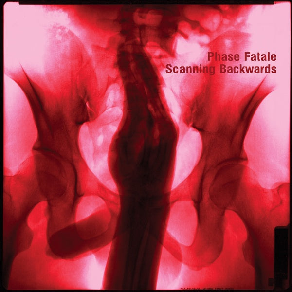 Scanning Backwards (Vinyl)