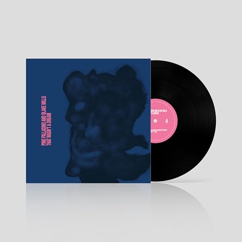 That Wasn'T A Dream [Lp] (Vinyl)