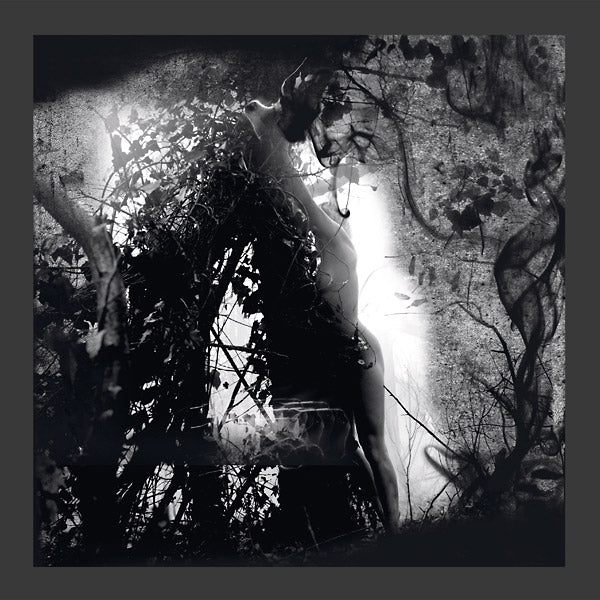 Tears Of A Rough Machine (Vinyl)