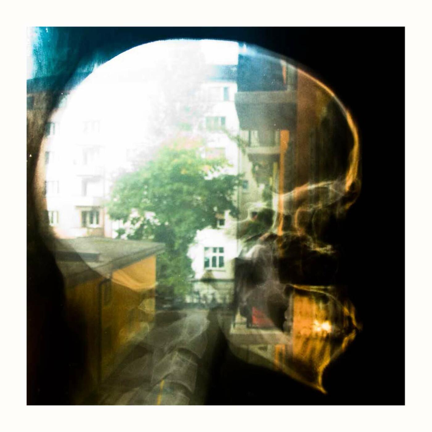 Plaid - Reachy Prints [Vinyl]