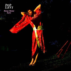 Never Never Love (CD)