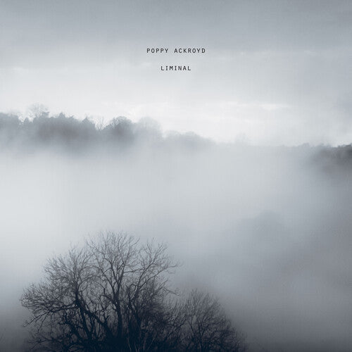 Poppy Ackroyd - Liminal [Vinyl]