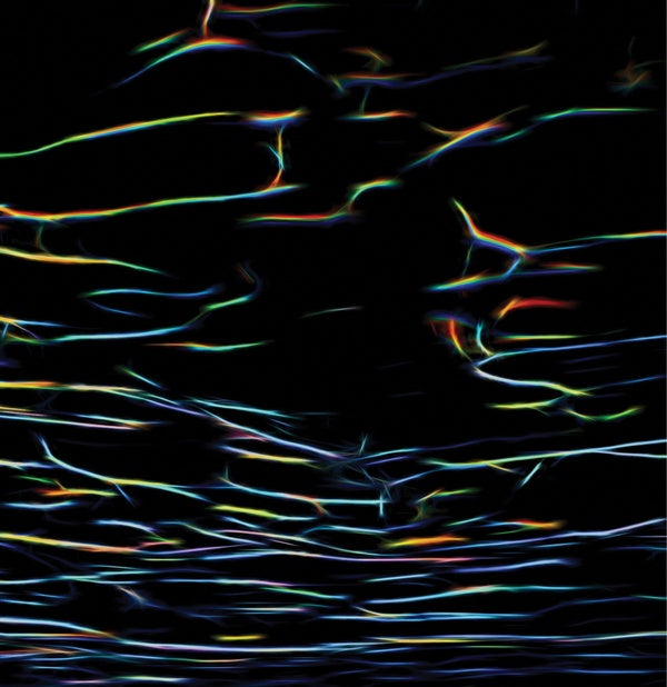 Biokinetics (Vinyl)