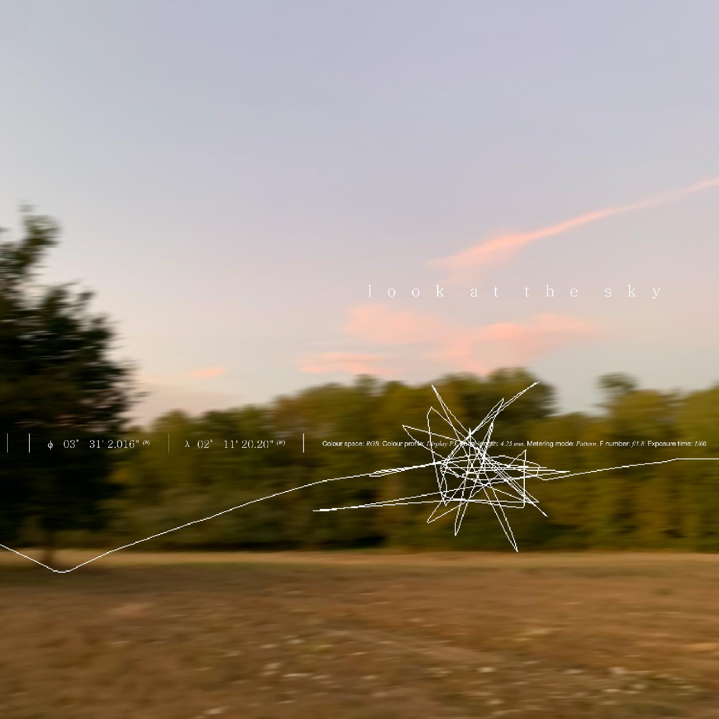 Look At The Sky (Indie Exclusive) [Vinyl]