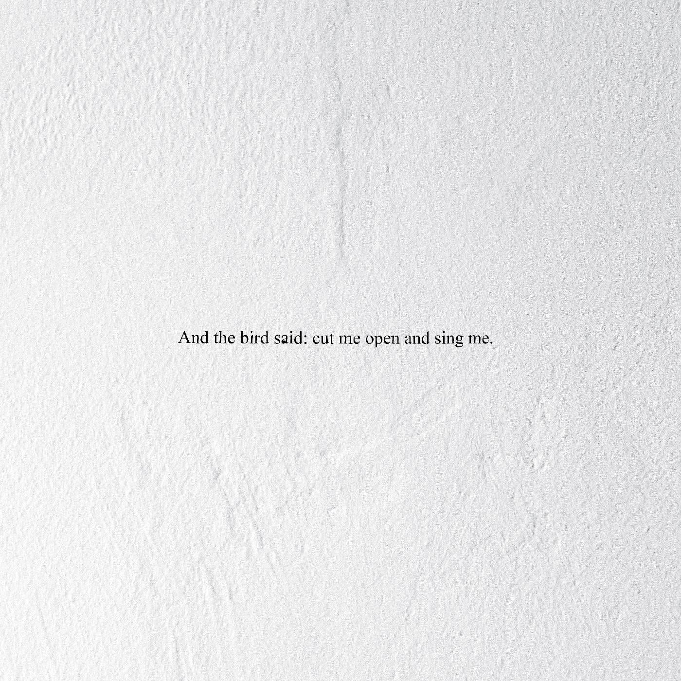 And the Bird Said: Cut Me Open and Sing Me (CD)