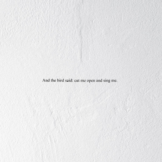 And the Bird Said: Cut Me Open and Sing Me (CD)