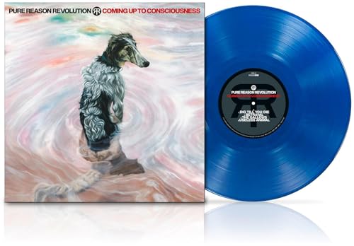 Coming Up To Consciousness (Vinyl)