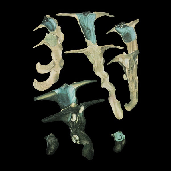 Jellyfish Reproduce Black Magic (Vinyl)