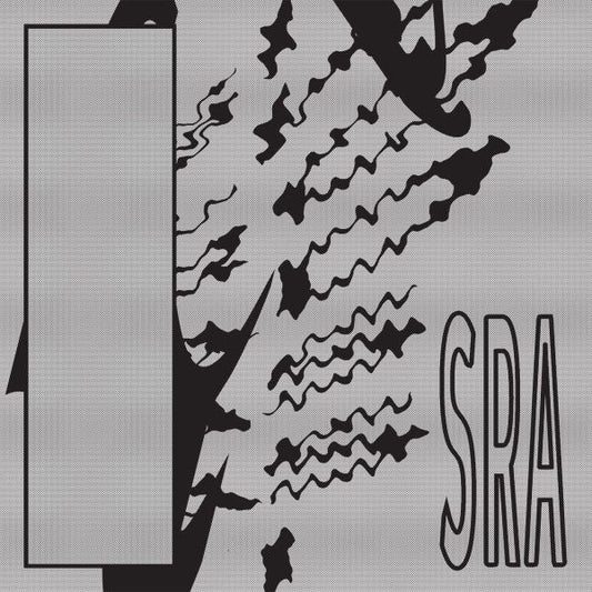 Silk Road Assassins Reflection Spaces [Vinyl]