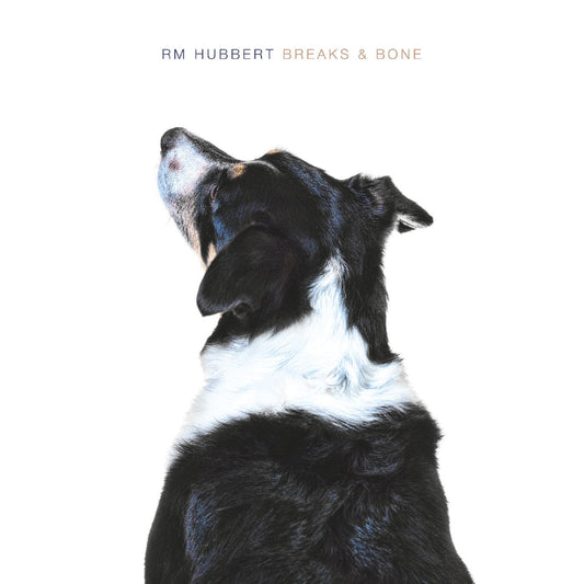 Breaks & Bone (Vinyl)