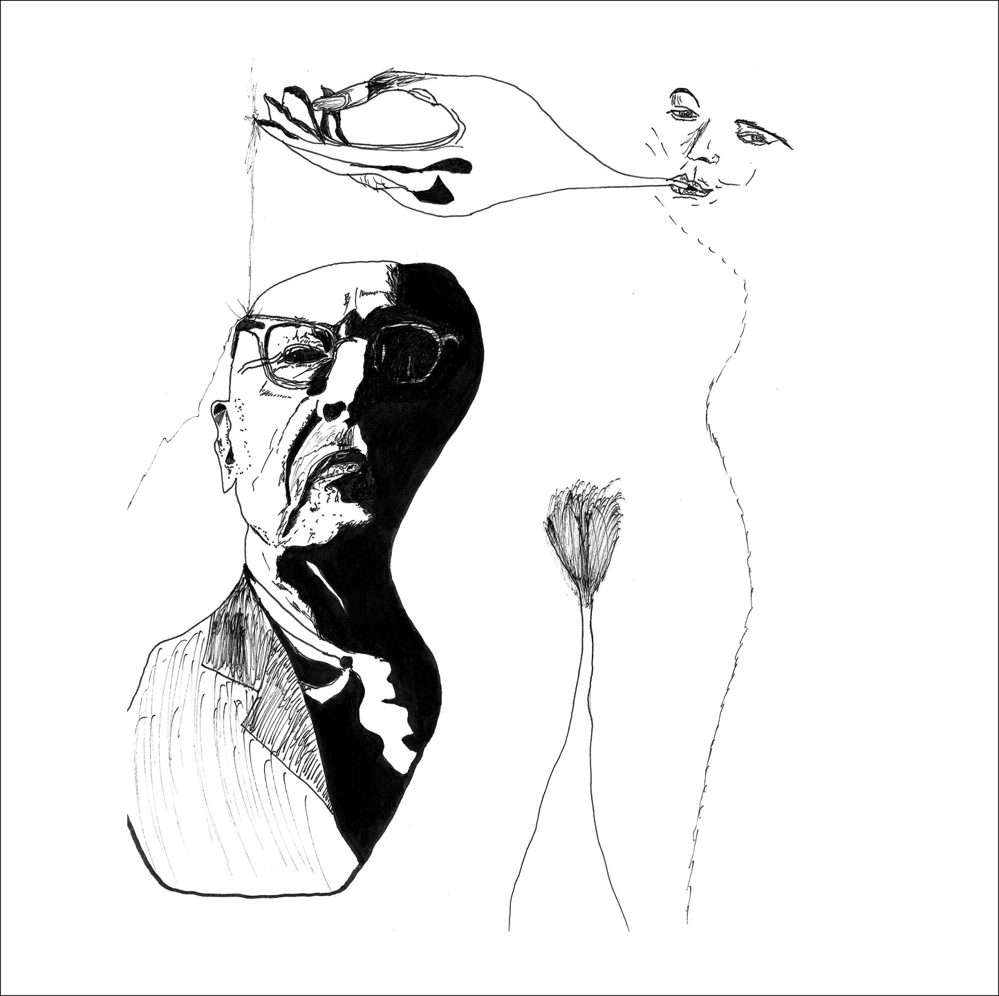 Rob Magill The Owl and the Pussycat [Vinyl]