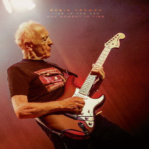 One Moment in Time: Live in the USA (2 Lp's) [Vinyl] - Golden Apple Comics