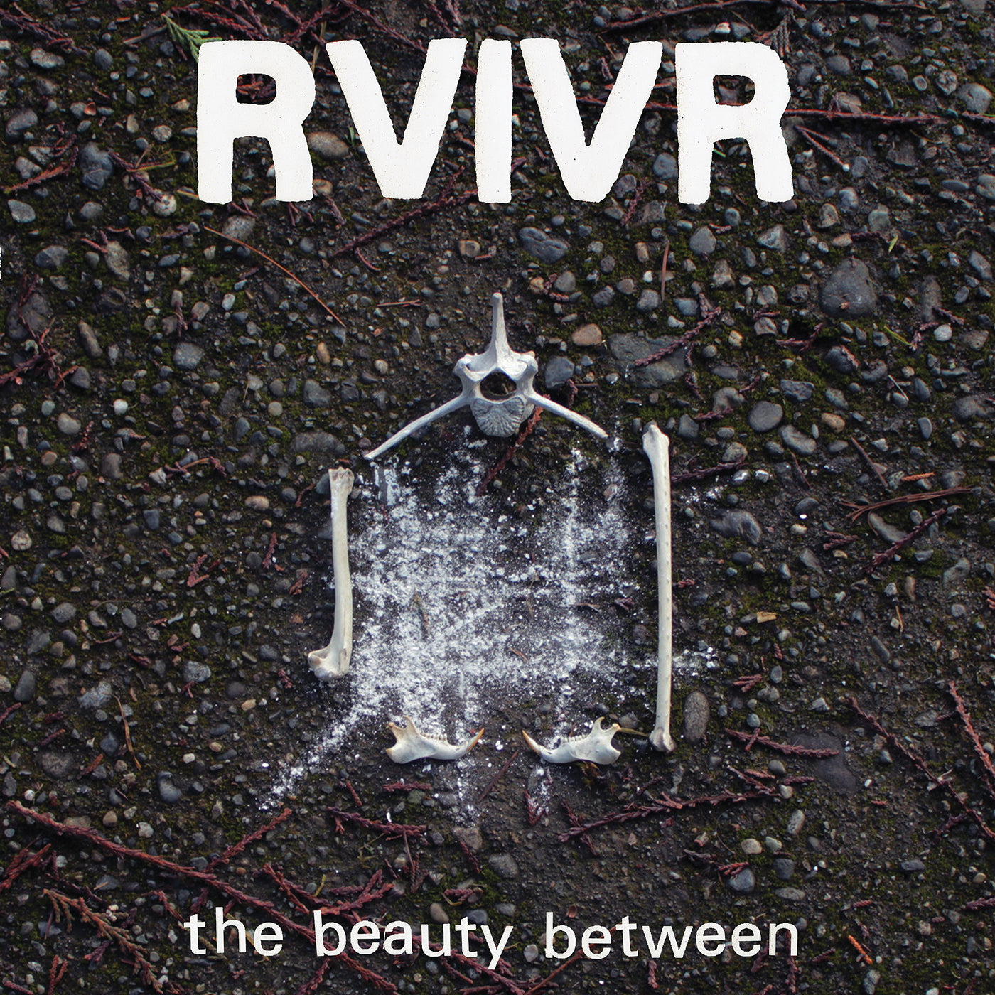 PRE-ORDER RVIVR - The Beauty Between [Black/Clear Vinyl] [Vinyl]
