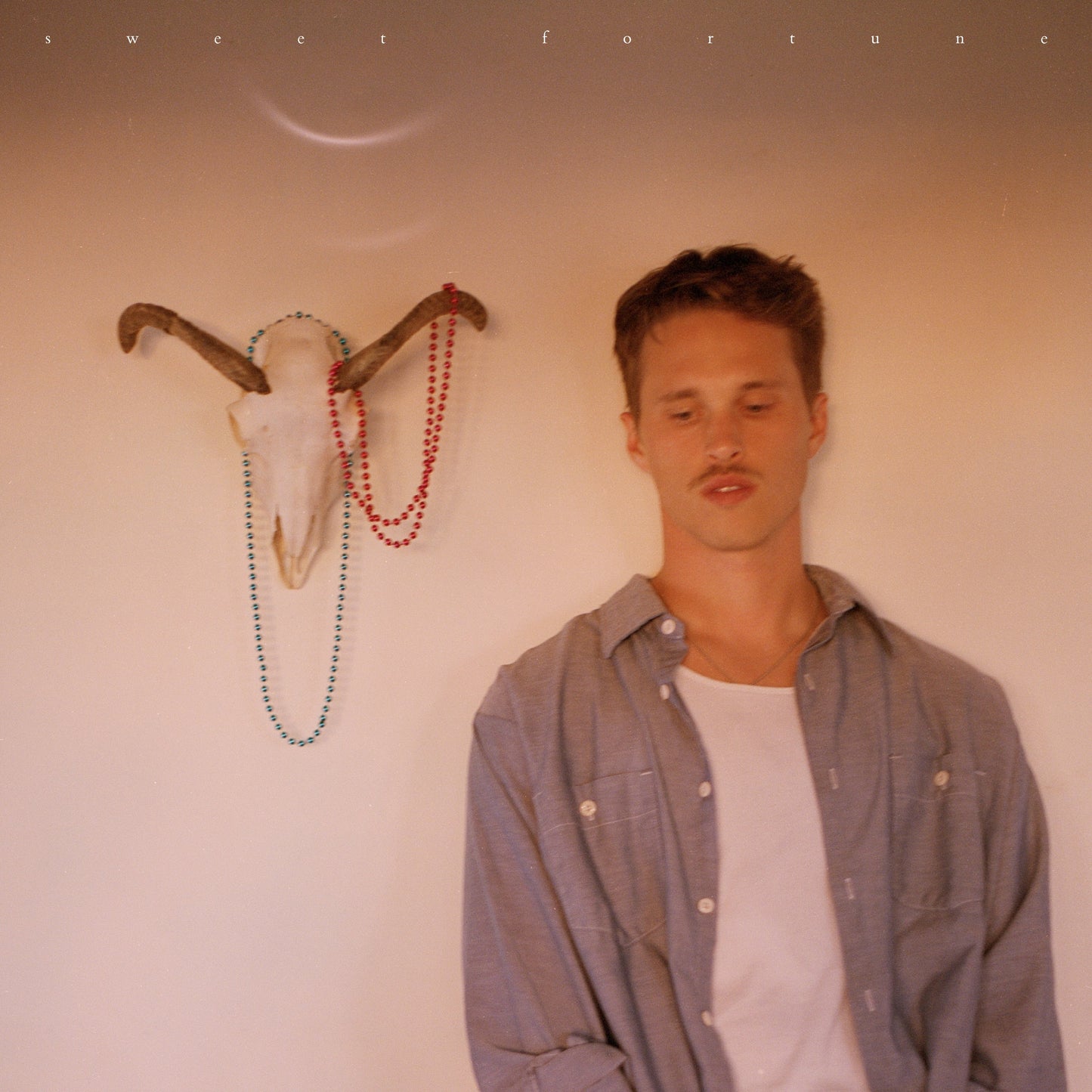 Ryan Beatty - Sweet Fortune (Gatefold, Includes 12X24 Poster) [Vinyl]