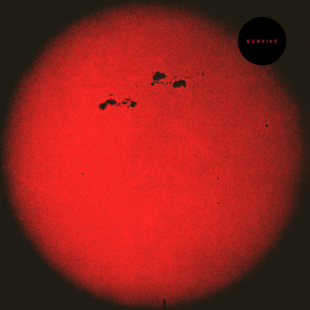 Hd015 (Vinyl)
