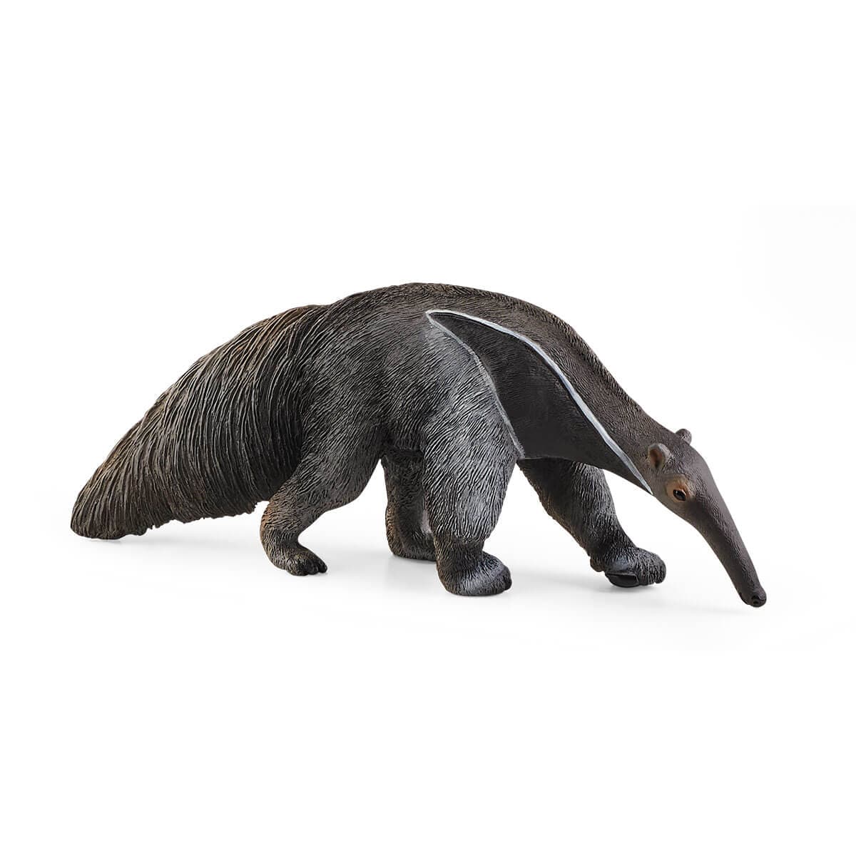 Anteater