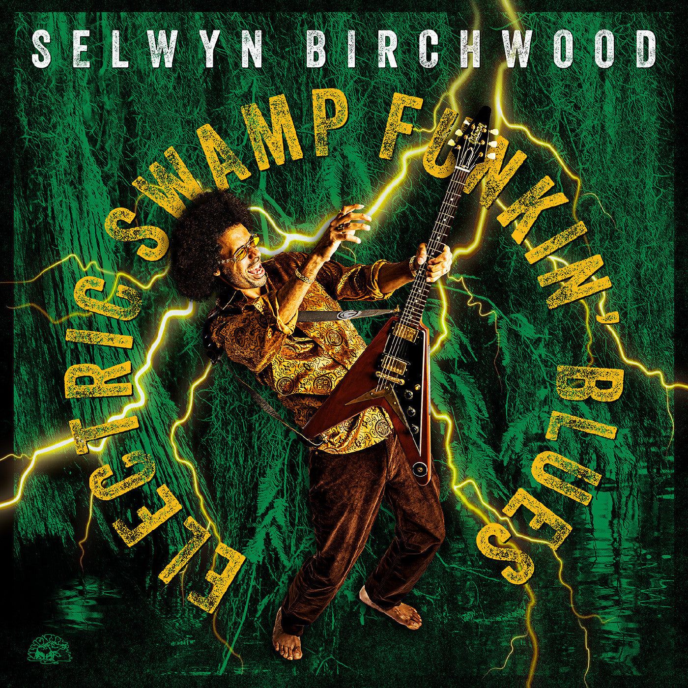 Electric Swamp Funkin' Blues [Vinyl]