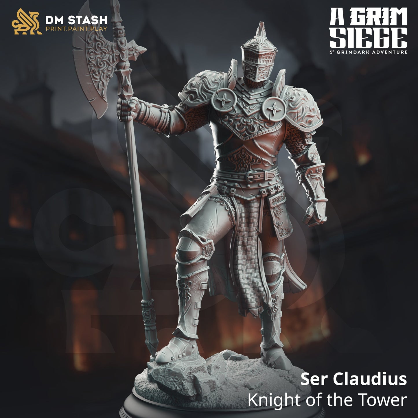 Ser Claudius, Knight of the Tower (Male Human Paladin)