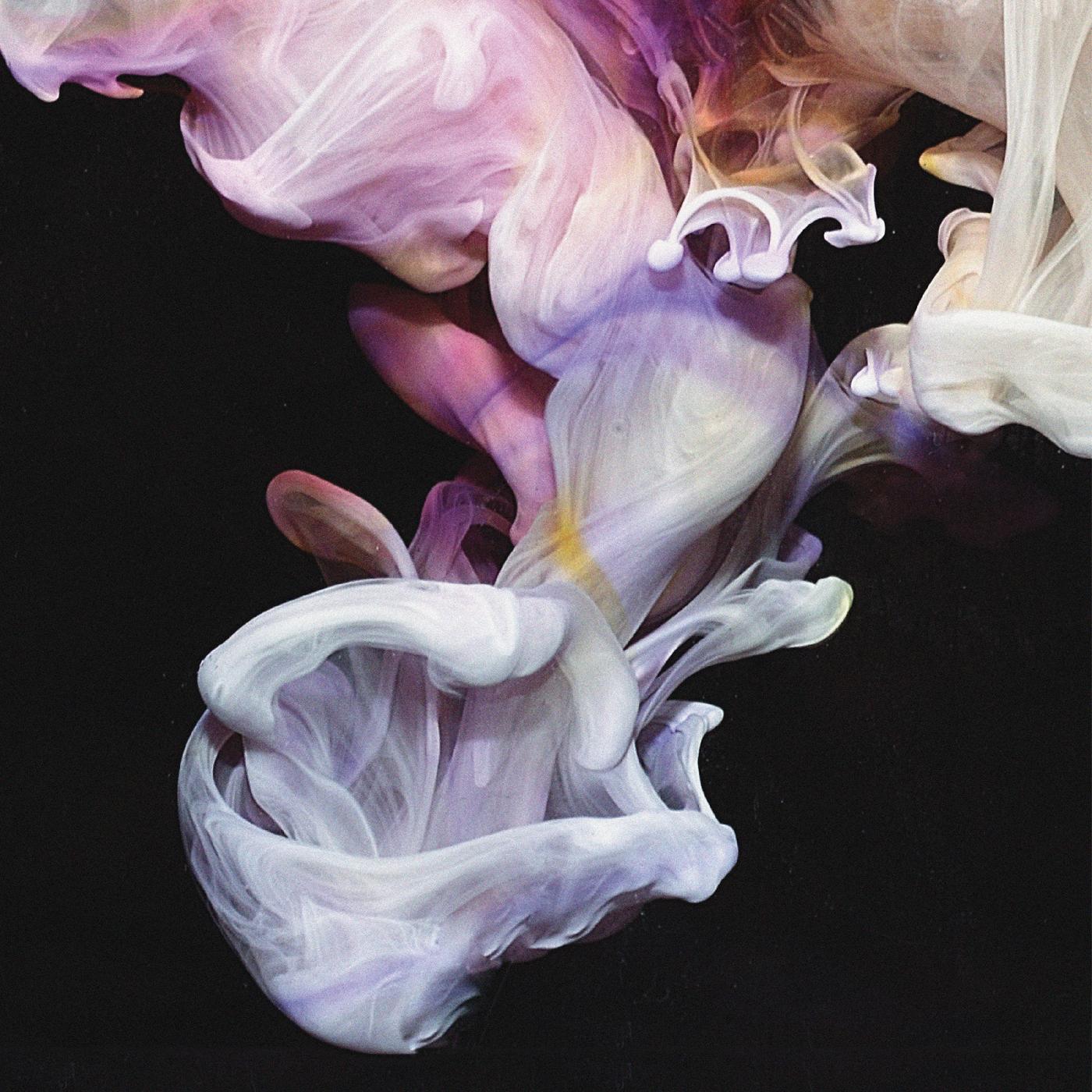 Murmurations (Vinyl)