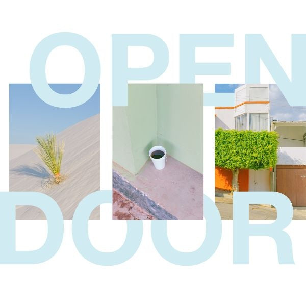 Open Door (Vinyl) - Golden Apple Comics