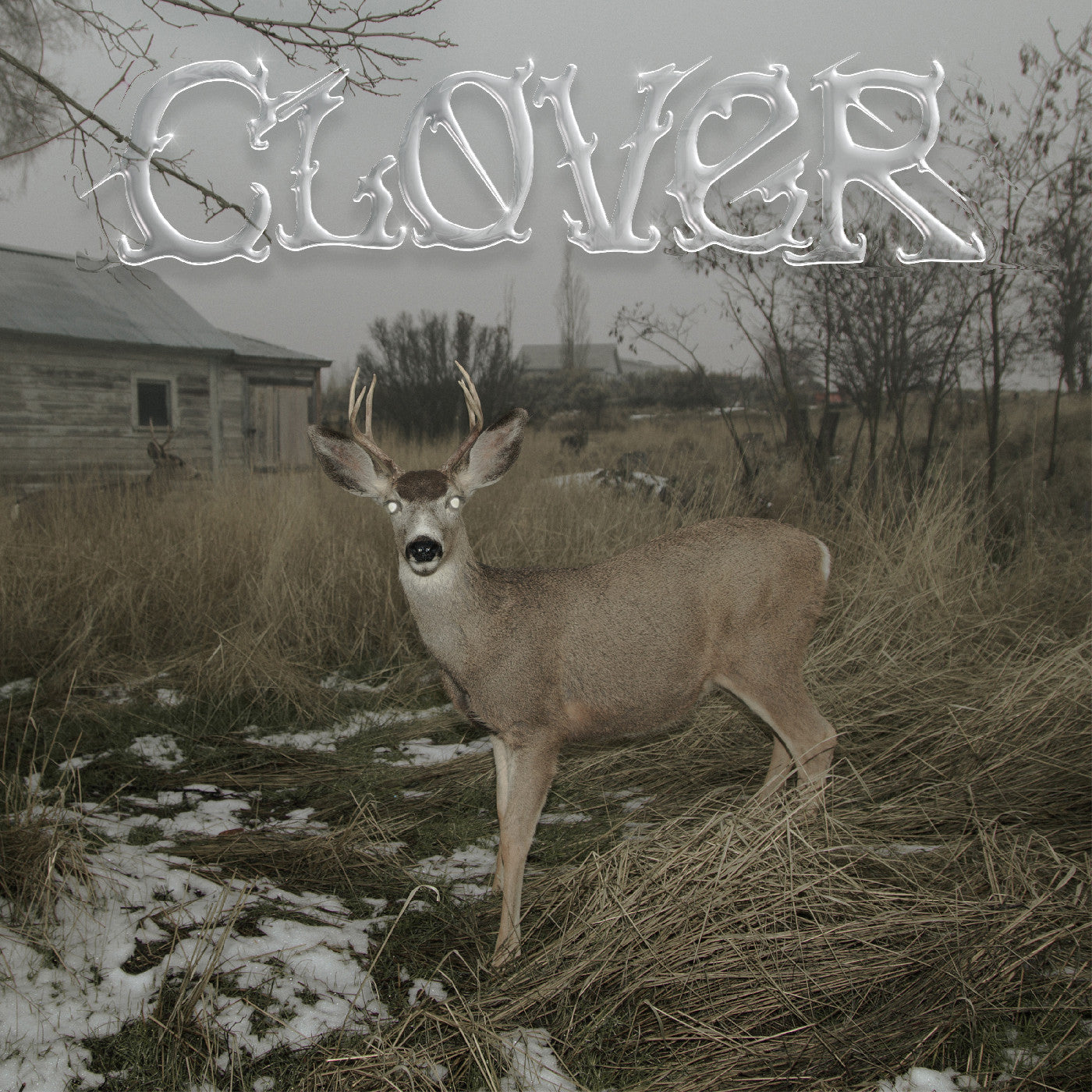 Clover (White Cassette)