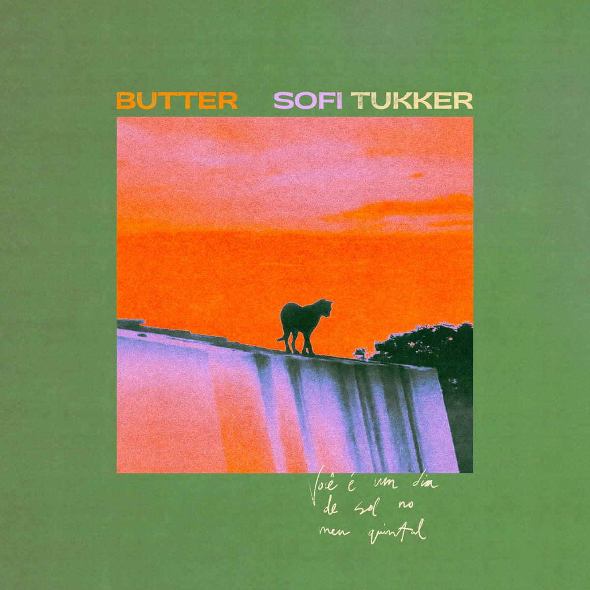 Butter (LP) (Vinyl)