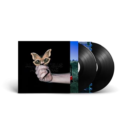 All Systems Are Lying [2Lp] (Vinyl)