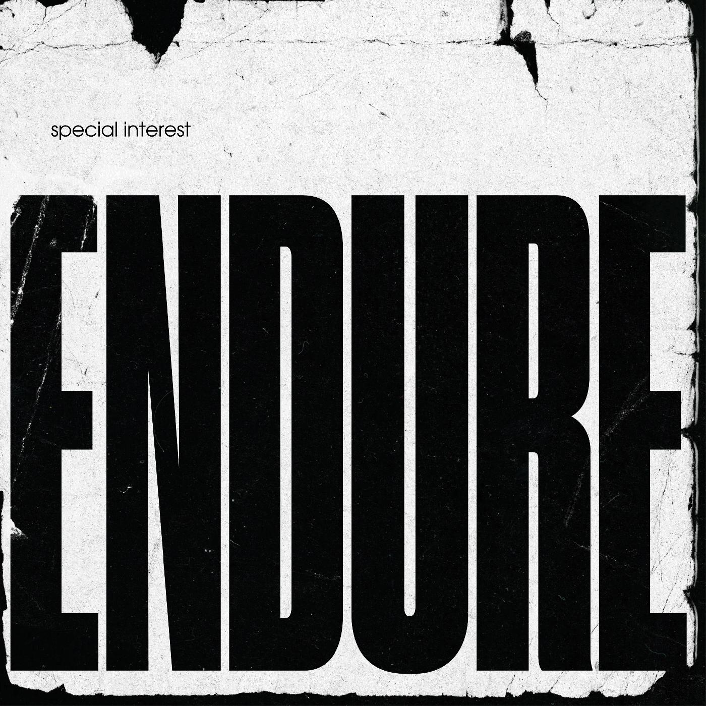 Endure (CD)
