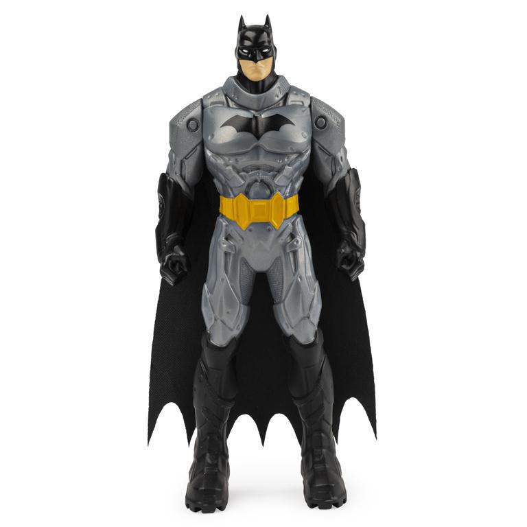 Batman 6" Action Figure Series