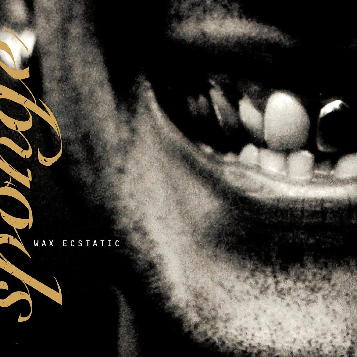 Wax Ecstatic (Galaxy Beer Colored Vinyl) (Vinyl) - Golden Apple Comics