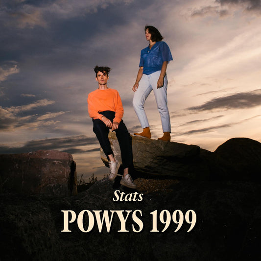 Stats Powys 1999 (CRYSTAL VINYL) [Vinyl]