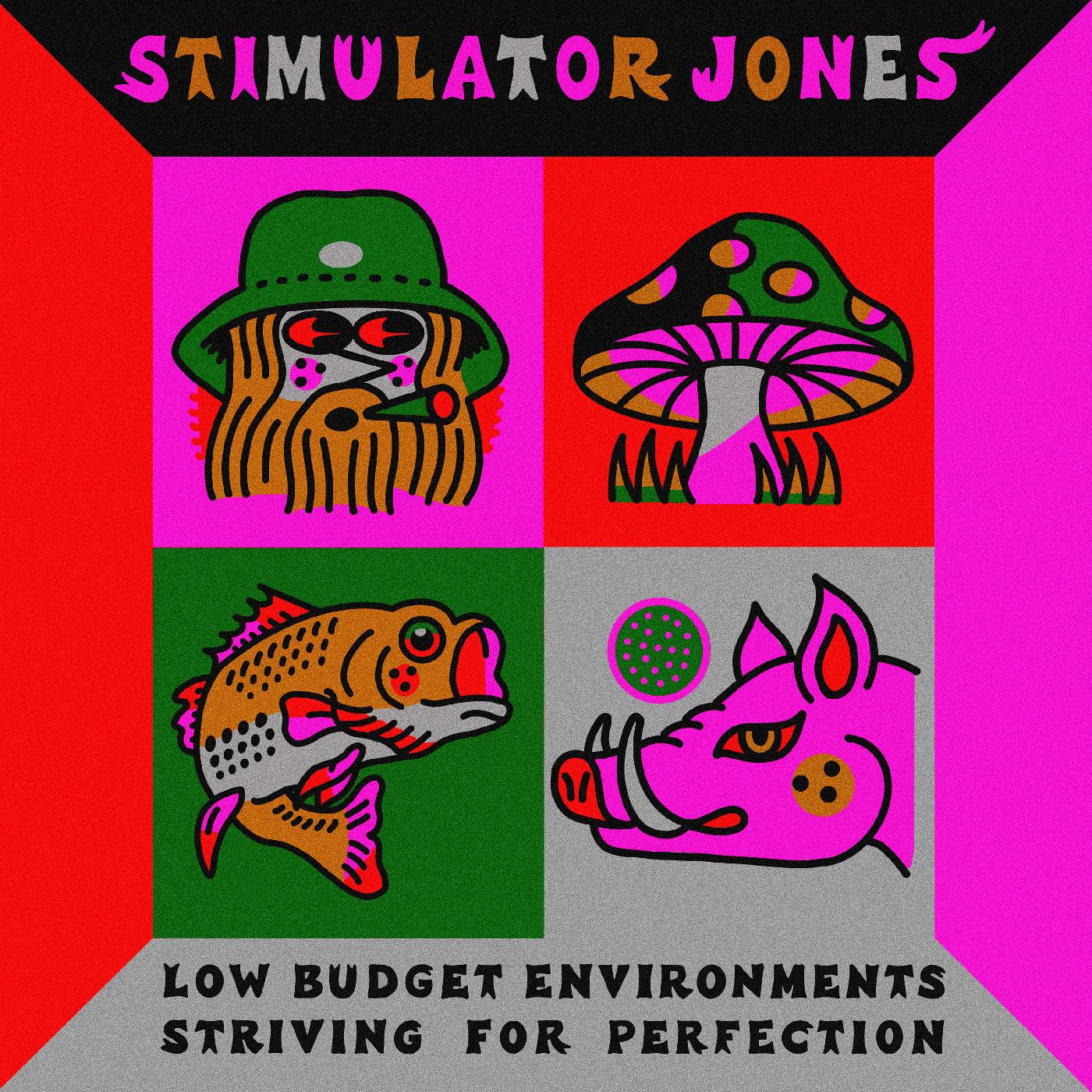 Low Budget Environments Striving For Perfection (Vinyl)
