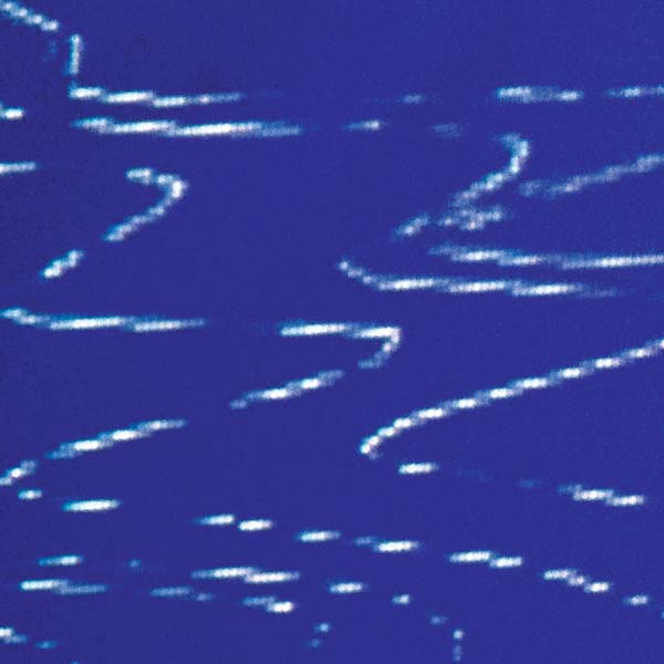 Information Pollution (Vinyl)