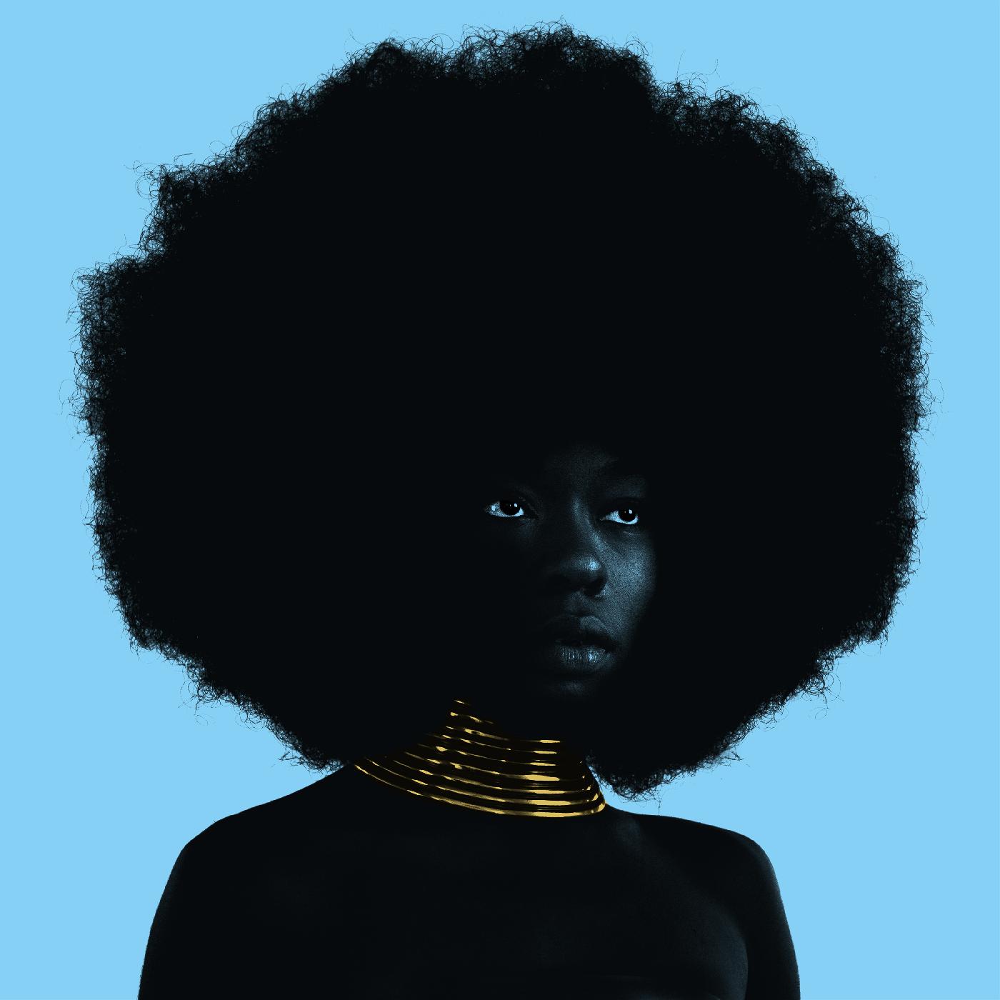 Sink [Vinyl]