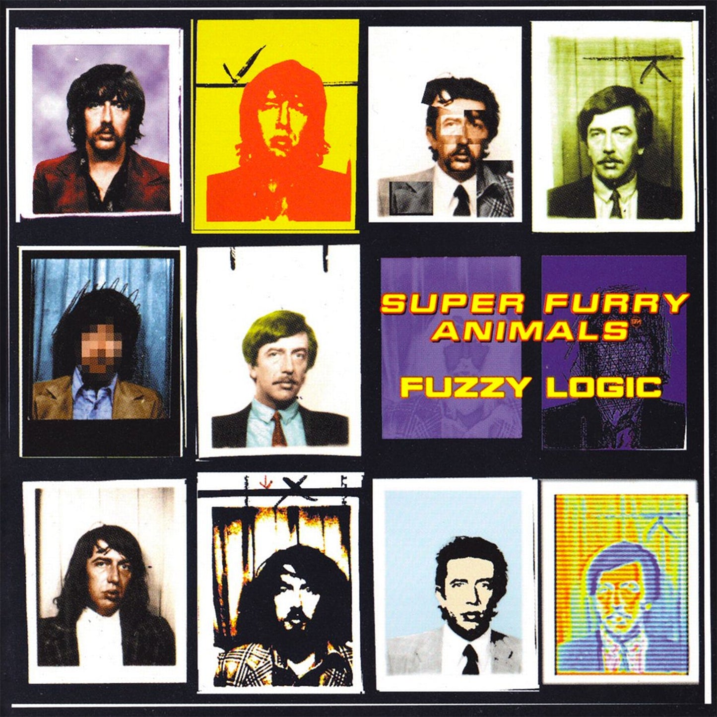 Fuzzy Logic (Vinyl)