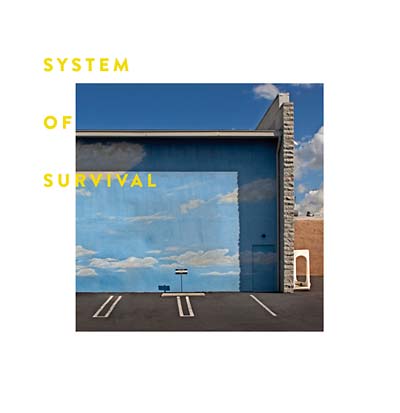 Needle and Thread (CD)