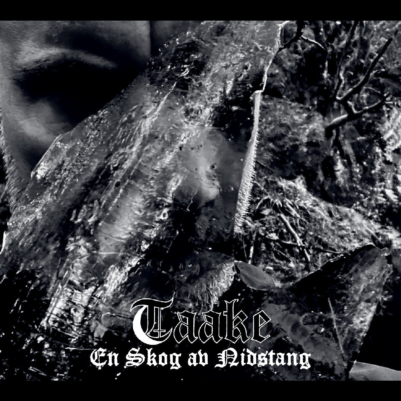 Taake - En Skog Av Nidstang [Vinyl]