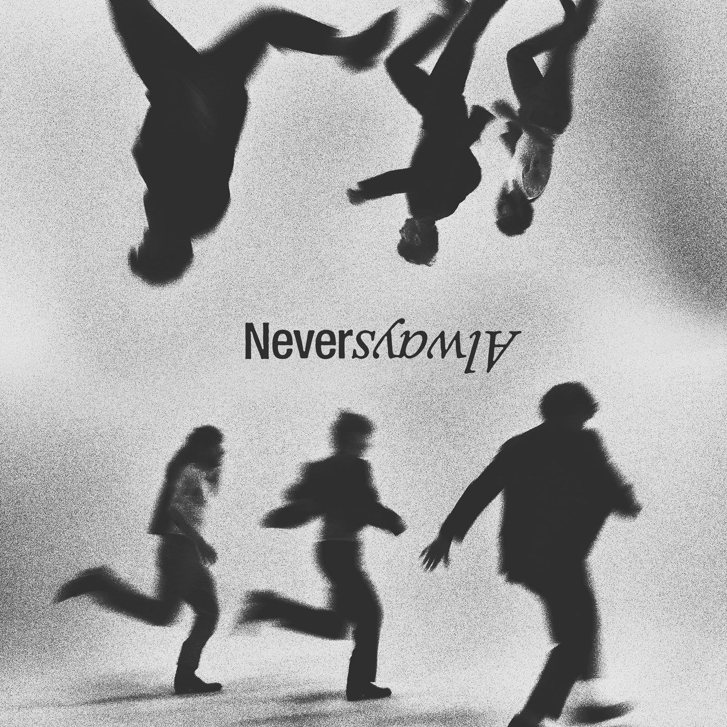 The Band CAMINO - Neveralways (Vol. 2) [Vinyl] - Golden Apple Comics