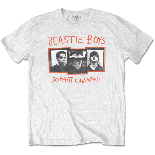 The Beastie Boys So What Cha Want [] - Golden Apple Comics