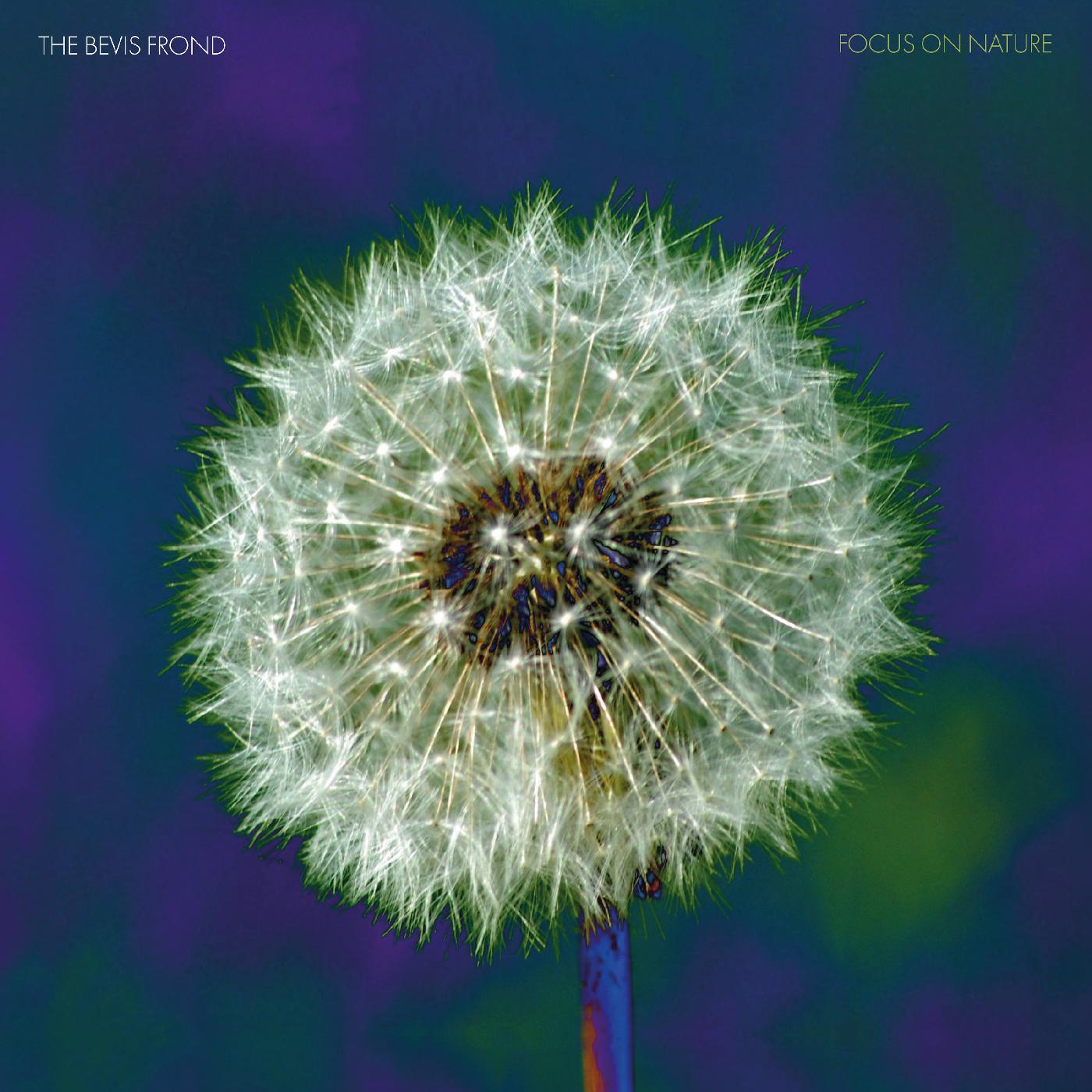Focus on Nature (PURPLE VINYL) (Vinyl)