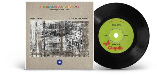 David Gray The Endless Coloured Ways: The Songs of Nick Drake [7" Single] [Vinyl]