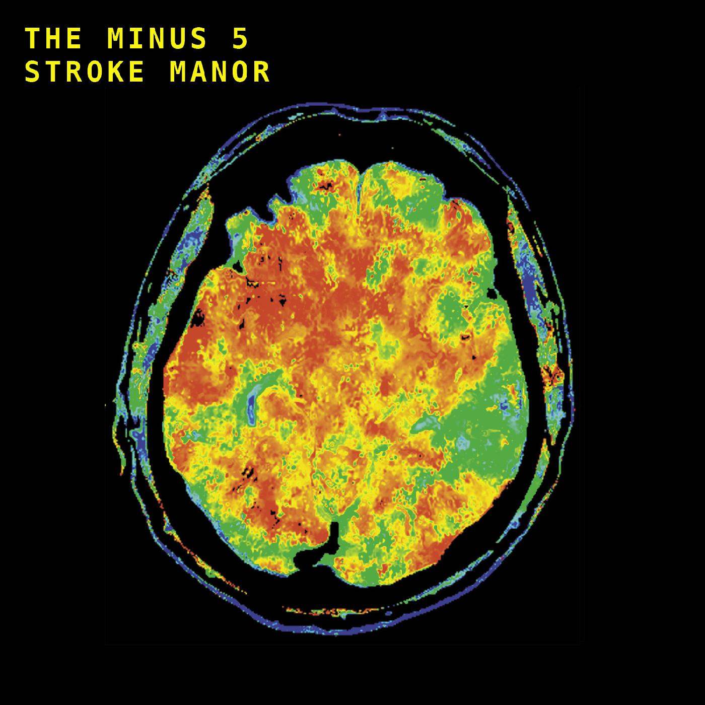 Stroke Manor (Vinyl)