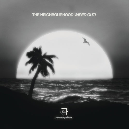 Wiped Out! 10Th Anniversary (180G) [2LP] [Vinyl]