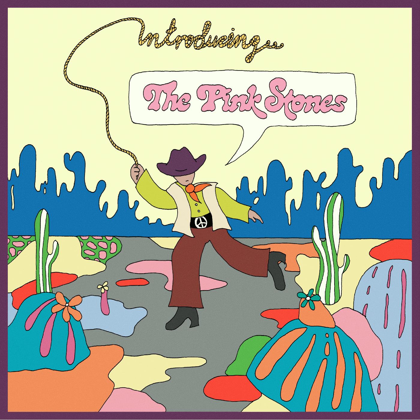 Introducing...The Pink Stones (CD)