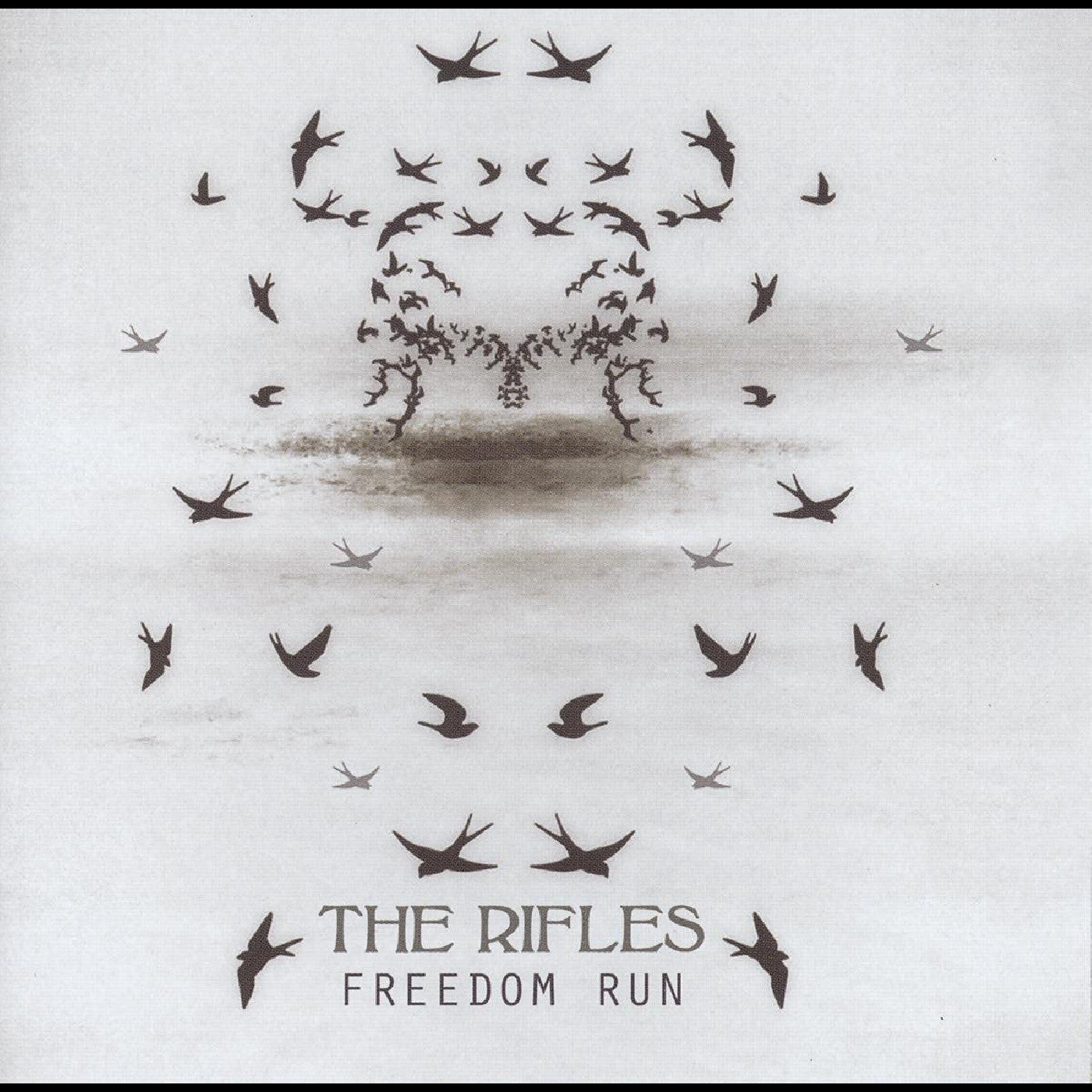 The Rifles - Freedom Run (Rosewood Vinyl) [Vinyl]
