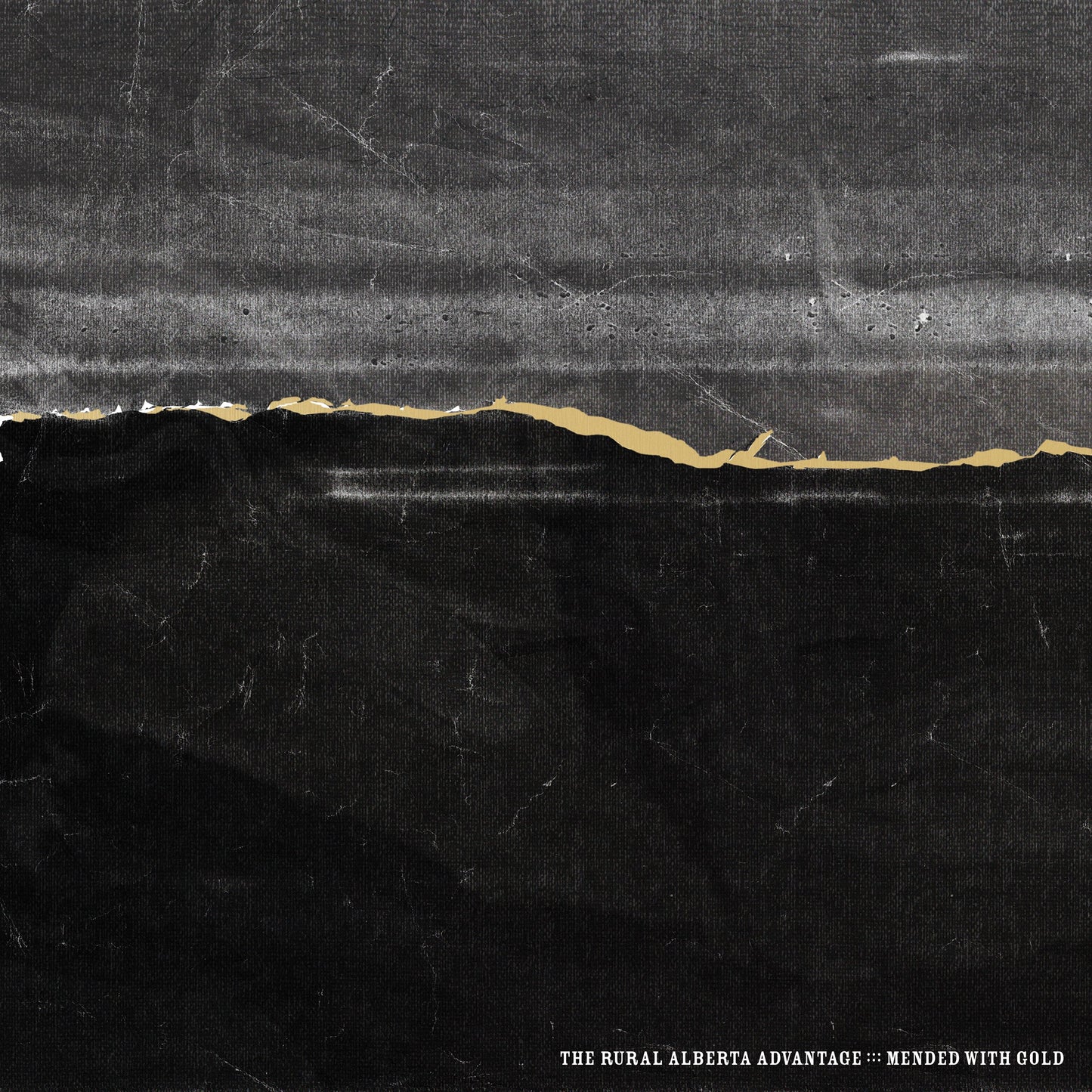 Mended With Gold (Vinyl)