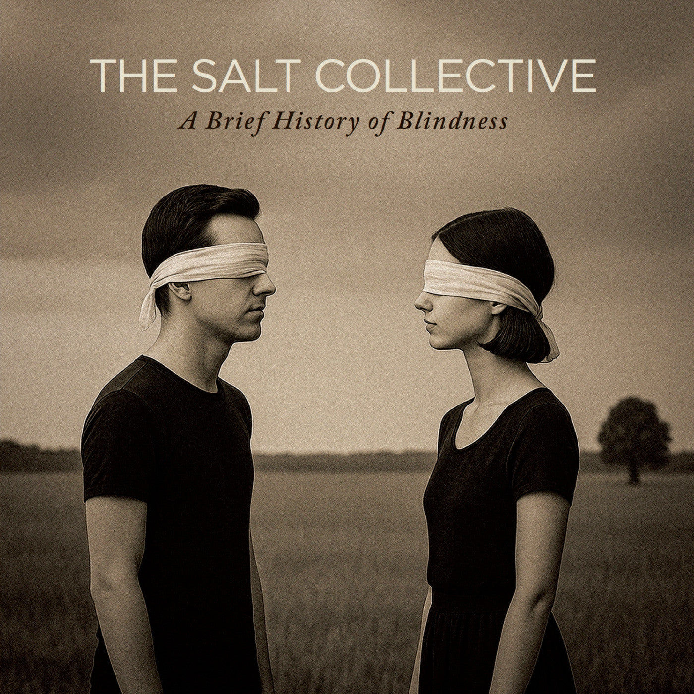 A Brief History Of Blindness (CD)